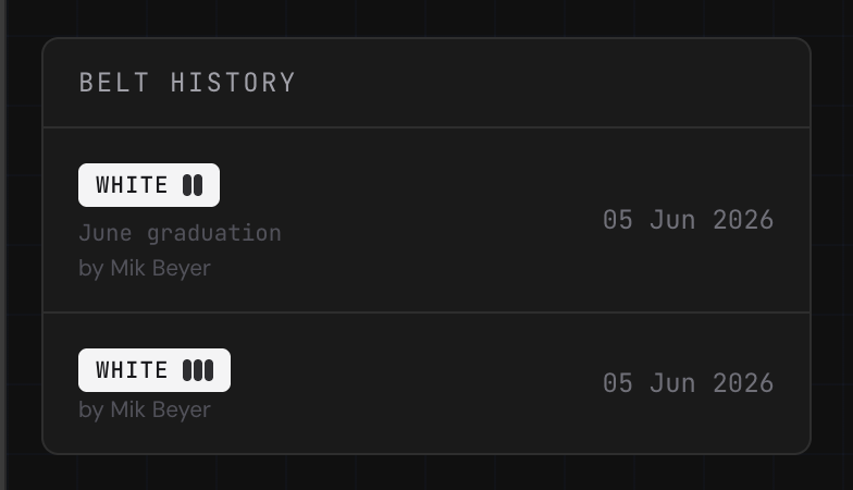 Belt history — timestamped promotion log